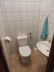 a bathroom with a white toilet and a sink at Alfa 2 apartament 3 in Bystra