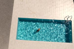Bazen u ili blizu objekta HOTEL StDaniel