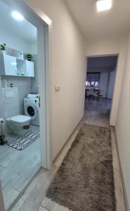 a bathroom with a sink and a toilet in a room at Fortuna Park Apartman in Sfântu-Gheorghe