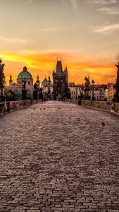 a sunset over a cobblestone street in a city at Center of Prague Apartment 369 in Prague
