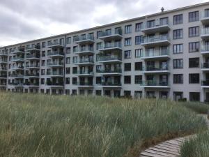an apartment building on the beach with tall grass at Seeschwalbe mit Meerblick in Binz