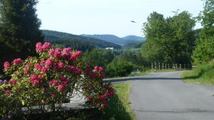 un camino con flores rosas a un lado de la carretera en Fuchs, en Eslohe
