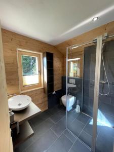 een badkamer met een douche, een toilet en een wastafel bij Ferienwohnungen JHS in Seewis im Prättigau