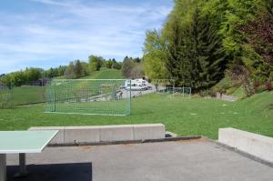 un campo de fútbol con una red en un parque en Ferienwohnungen JHS en Seewis im Prättigau