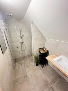 a bathroom with a shower and a sink at Apartmány nad Anenským potokem - Říčky in Říčky