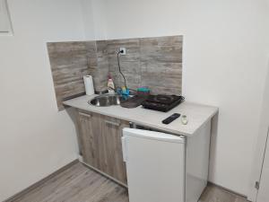 een kleine keuken met een wastafel en een aanrecht bij Apartmani Hub in Niš