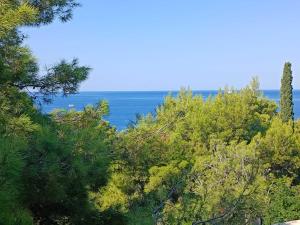Paesaggio naturale nelle vicinanze dell'appartamento