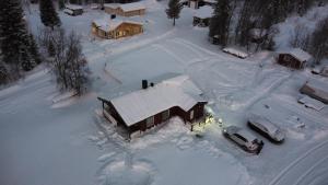 Little adorable red v zimě + 7 fotografií