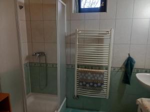 y baño con ducha y lavamanos. en Forrás Vendégház en Szálka