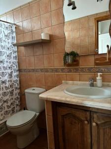 uma casa de banho com um WC, um lavatório e um espelho. em Habitación matrimonial en un bajo baño compartido Areas compartidas em Abades