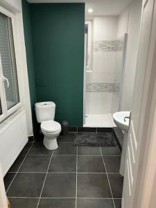 a bathroom with a toilet and a shower and a sink at Gite for you muguet in Neuvy-sur-Loire