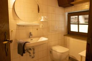 a bathroom with a sink and a toilet and a mirror at Ferienhof-Gerda-Ferienwohnung-Schwalbennest in Oberkirnach