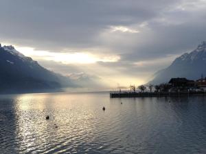 un lac avec des canards dans l'eau et des montagnes dans l'établissement Al Porto Fantastic Lake & Mountain View Apartment, à Brienz