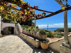 a stairway with flowers and a view of the ocean at Villa Anica Dubrovnik in Dubrovnik