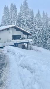 Haus Waldblick v zimě