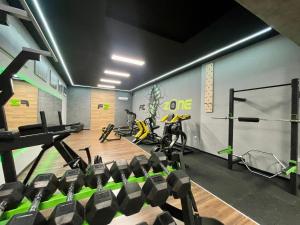 a gym with treadmills and bikes in a room at Duplex Oasis Ada in Ada