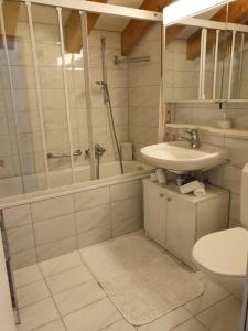 uma casa de banho com um lavatório, um chuveiro e um WC. em Chesa Foppas App Nr 7 em Sils Maria