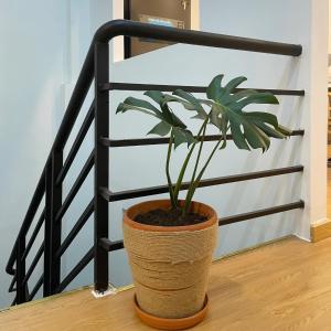 Fotografie z fotogalerie ubytování Alphabet Home Capsule v Ho Či Minově městě
