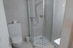 uma casa de banho com um chuveiro e um WC. em Chesa Margretta, 2 ZWG im 1 Obergeschoss em Sils Maria