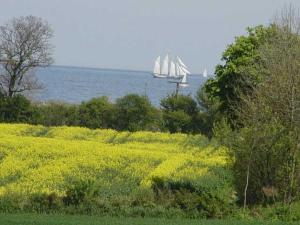 a sail boat in the water with a field of flowers at Ferienhof Jens Ferienwohnung 4 in Kronsgaard