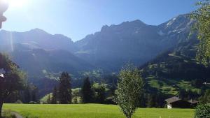 un campo verde con montagne sullo sfondo di Frohmatt ad Adelboden
