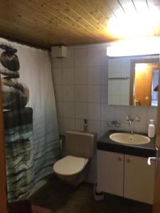 bagno con servizi igienici e lavandino di Frohmatt ad Adelboden