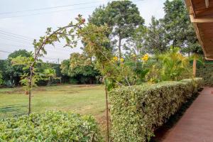 Fotografie z fotogalerie ubytování 3 Bed House Sleeps 6 - Garden Parking Bbq v destinaci Nairobi