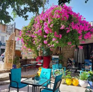a patio with tables and chairs and pink flowers at AMINA APARTMENTS in Zakynthos