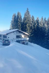 Haus Waldblick v zimě