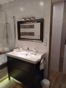 a bathroom with a sink and a mirror at Roses Apartment in Frýdek-Místek