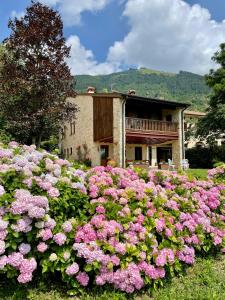 un campo di fiori rosa di fronte a una casa di Villa Contrà Facci - Strada 52 gallerie del Pasubio a Schio
