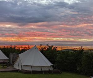 zwei Zelte auf einem Feld mit Sonnenuntergang im Hintergrund in der Unterkunft Penhallow Glampsite in Truro