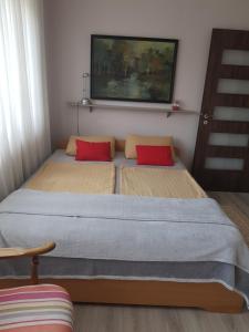 a bedroom with two beds with red pillows at Aranyos Apartman in Hajdúszoboszló