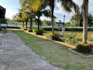 a pathway with palm trees and a person riding a bike at PZ วิวล์ in Ban Mae Lai