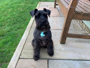 ストラウドにあるA Cotswold Cabin with Great Views and a Hot Tubのギャラリーの写真