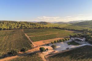 une vue aérienne sur un vignoble et une maison dans un champ dans l'établissement Domaine De Sigalous, à La Crau