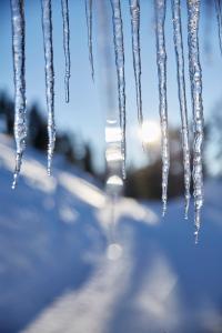 Φωτογραφία από το άλμπουμ του Alpine Spa Hotel Haus Hirt στο Bad Gastein