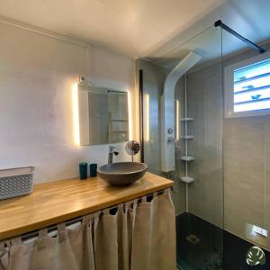 La salle de bains est pourvue d'un lavabo et d'une douche en verre. dans l'établissement La Tit'Kaz Bégonia (Vue montagne), à Saint-Philippe