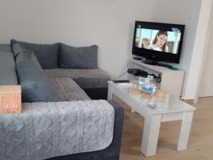 a living room with a couch and a table with a tv at Apartman Dve lipe in Palić