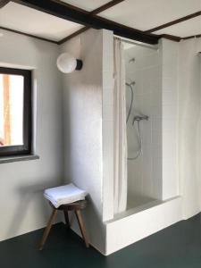 y baño con ducha, lavabo y taburete. en Charmantes Rustico nahe Lugano en Bidogno