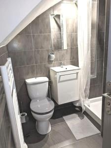 a bathroom with a toilet and a sink and a shower at Le Cocon de la Cathédrale in Metz