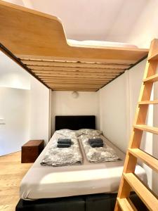 ein Schlafzimmer mit einem Etagenbett und einer Leiter in der Unterkunft Moderne Apartments in attraktivem Altbau in Freiburg im Breisgau