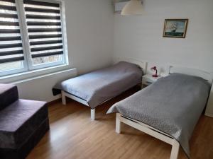 Galeri foto APARTMAN “POD KRALJEVICOM” di Zajecar