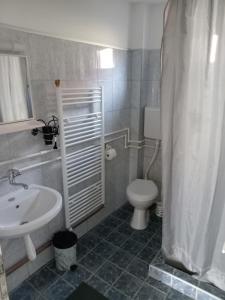 Kamar mandi di APARTMAN “POD KRALJEVICOM”