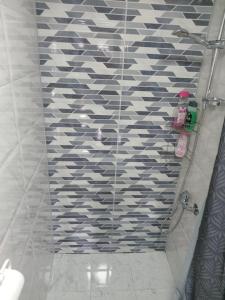 Kamar mandi di APARTMAN “POD KRALJEVICOM”