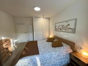 1 dormitorio con 1 cama con 2 almohadas en Villmor - B52 - La Milla de Oro, en Benasque