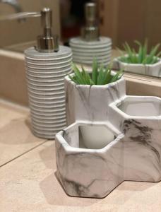a toilet sitting on a counter with a plant at Spacious flat in the most desirable area of London in London
