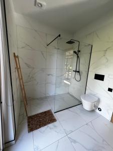 a bathroom with a shower and a toilet at Peaceful holiday house Pāvilosta in Pāvilosta