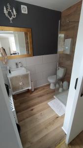 a bathroom with a shower and a toilet and a sink at Całkiem Klawa Enklawa in Brzozie