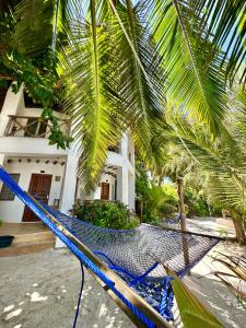 a hammock in front of a house with palm trees at HEBE Bungalows Lodge in Matemwe